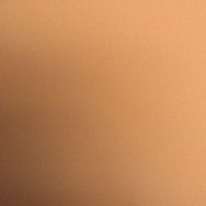 Meet your Posher, Anita